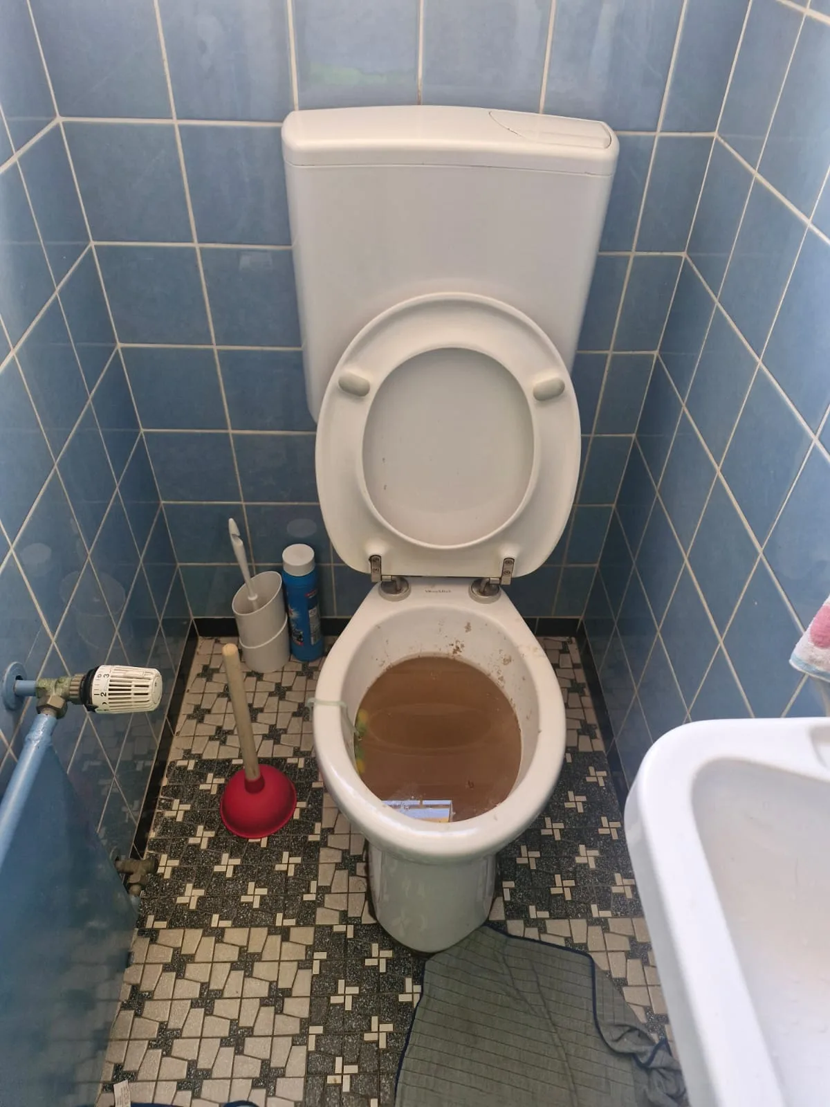 Verstopfte Toilette vor der Rohrreinigung